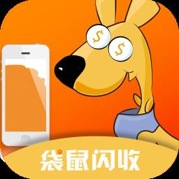袋鼠闪收