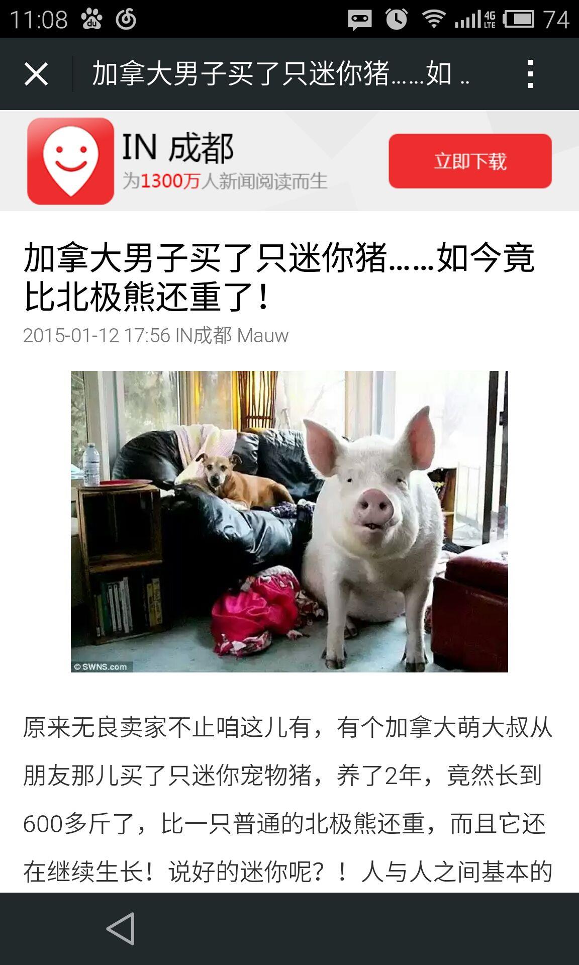 IN成都  v5.1图3