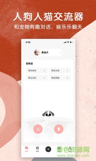 宠物君