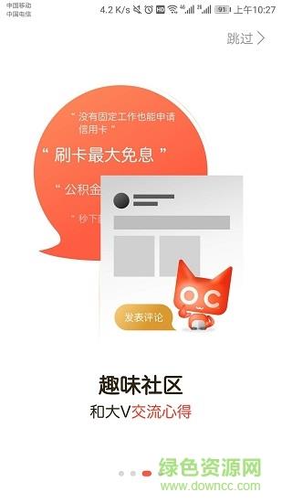 小桔猫