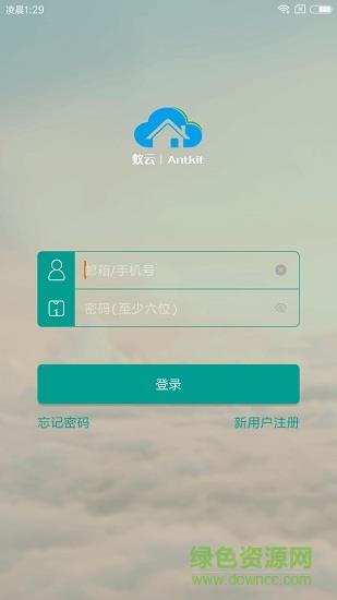 蚁云