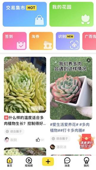 多肉圈  v3.3图3