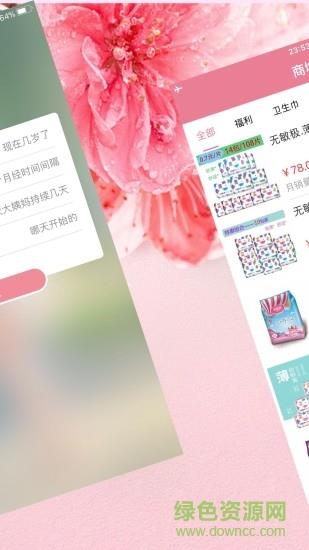 小姨妹