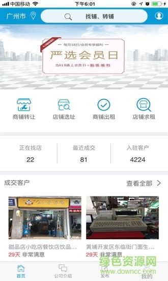 鸽子名店