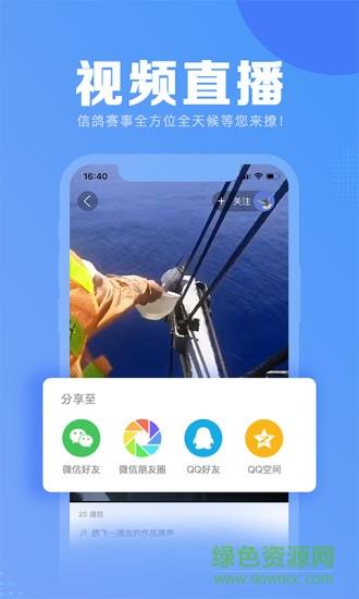 信鸽纵横  v5.3.3图1