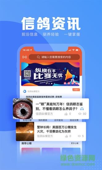 信鸽纵横  v5.3.3图3