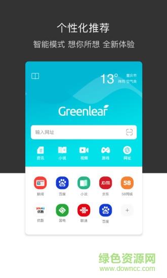 绿叶浏览器  v1.0.0图1