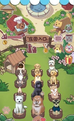 狗狗派对