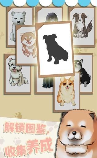 狗狗派对  v1.01图2