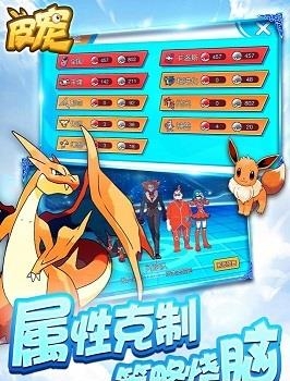 皮宠