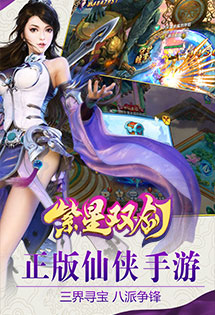 紫星双剑手游  v1.0图2
