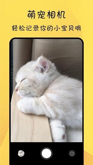 猫友舍  v1.0图3