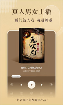 番茄免费小说2022