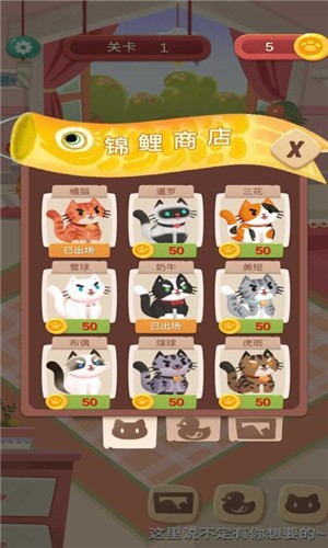 快给猫玩  v1.0图2