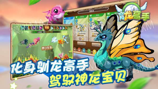 育龙高手破解版
