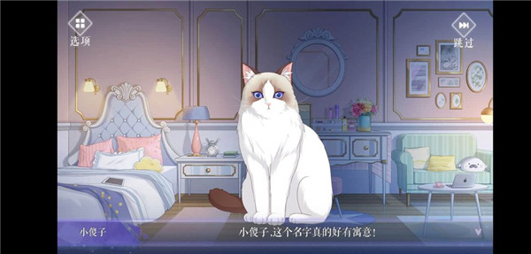 猫之宿约者