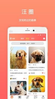 骨米宠物  v1.3.4图1