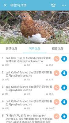 鸟叫声大全  v5.0.2图3