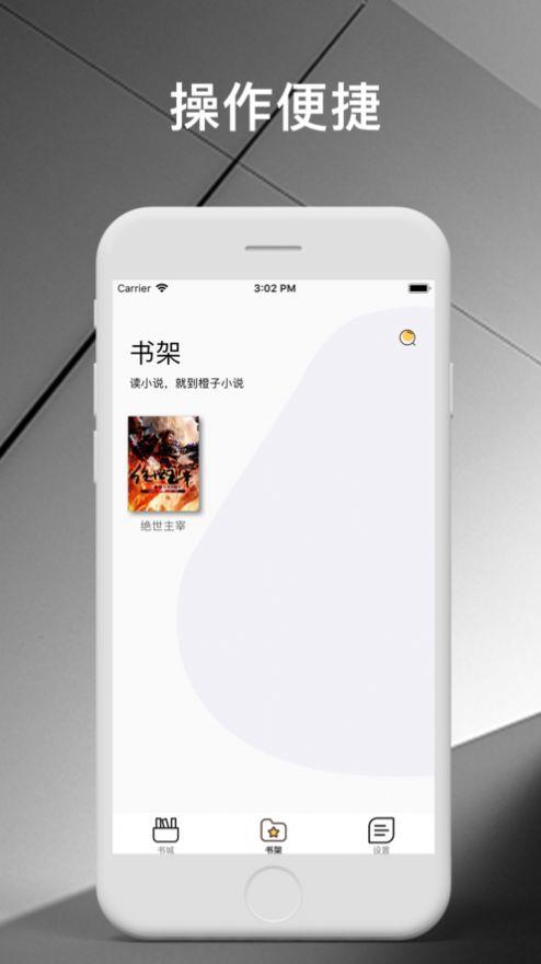 橙子小说