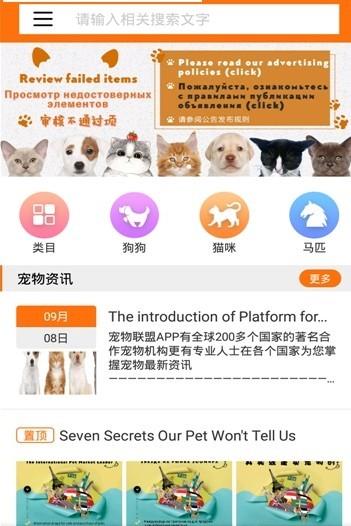 宠小七  v1.1图2