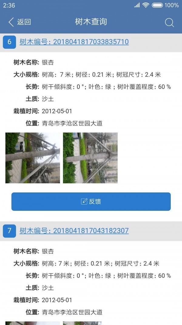 青岛树木  v1.1.5图1