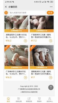 小猪巴巴  v0.0.3图4