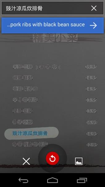 谷歌翻译(Google Translate)  v6.6.1.RC09.302039986图4