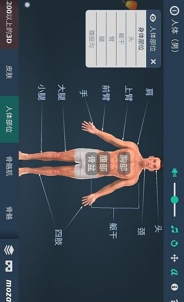 立体全身解剖模拟  v3.333图3