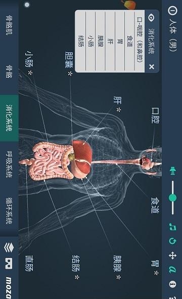 立体全身解剖模拟  v3.333图2