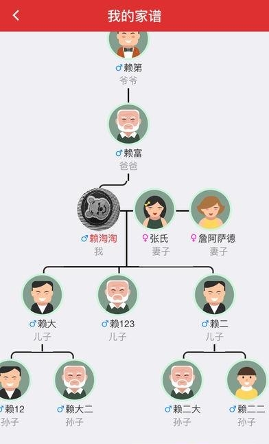华人家谱  v2.6.6图2