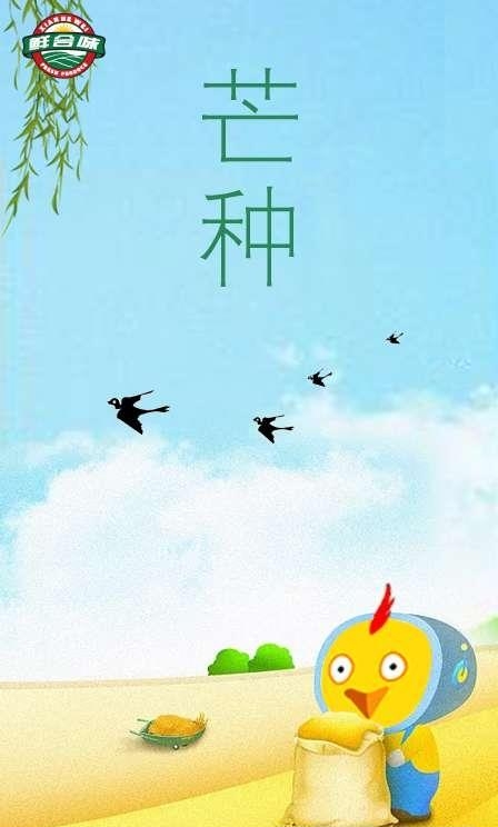 鲜合味