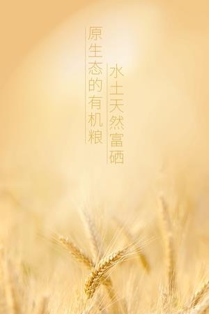 稀刻