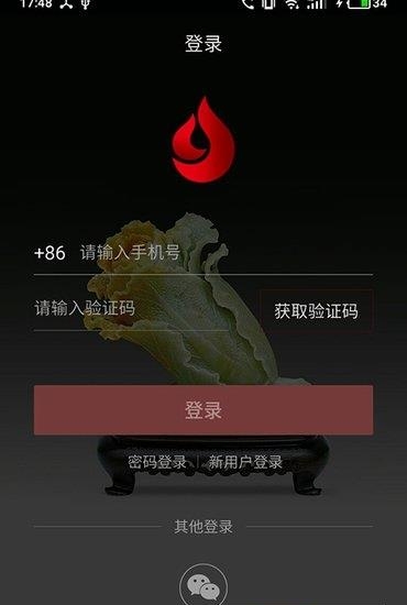 一手玉石