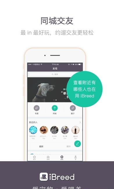 爱喂养