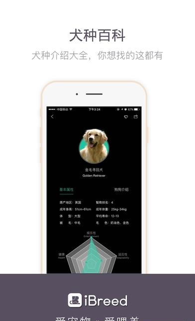 爱喂养  v1.0图5