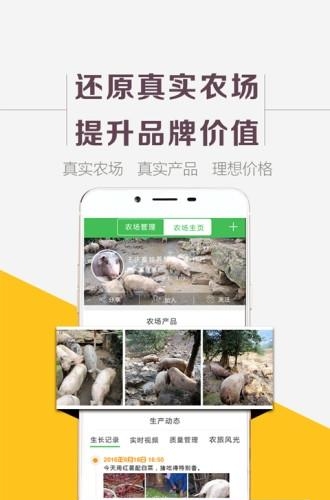 为米老乡