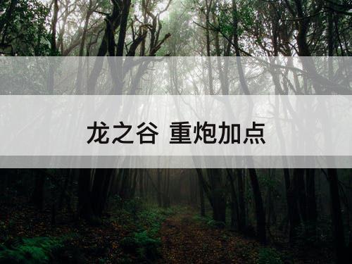 龙之谷 重炮加点