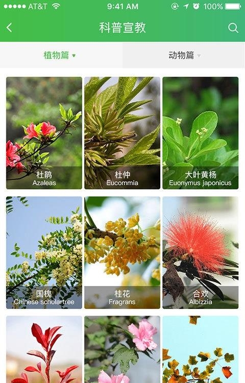 森林之旅  v1.0图1