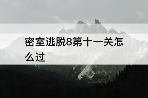 密室逃脱8第十一关怎么过