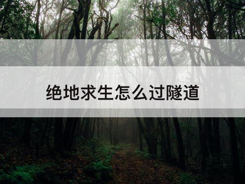 绝地求生怎么过隧道