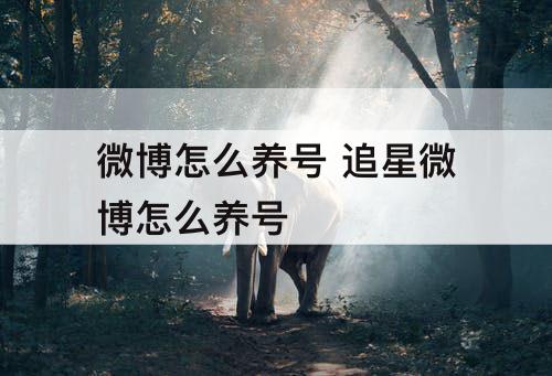 微博怎么养号 追星微博怎么养号