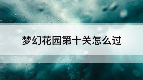 梦幻花园第十关怎么过