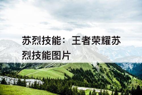 苏烈技能：王者荣耀苏烈技能介绍