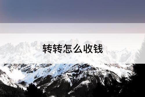 转转怎么收钱
