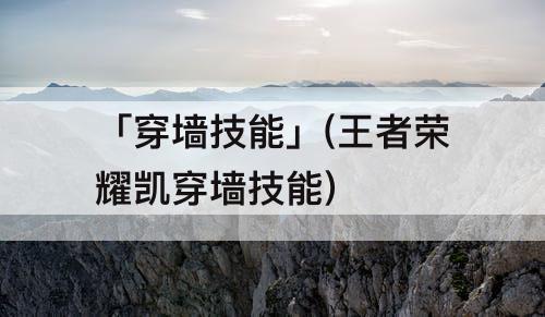 「穿墙技能」(王者荣耀凯穿墙技能)