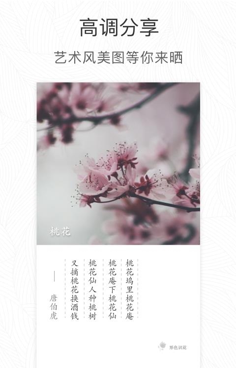 形色  v3.14.12图2