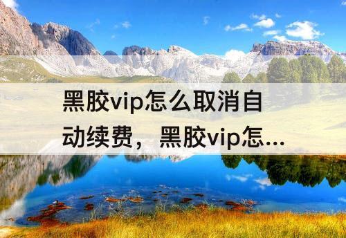 黑胶vip怎么取消自动续费，黑胶vip怎么取消自动续费支付宝