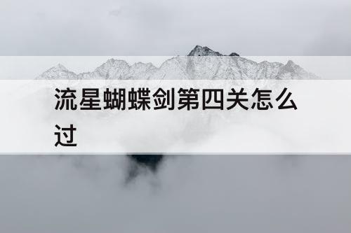 流星蝴蝶剑第四关怎么过