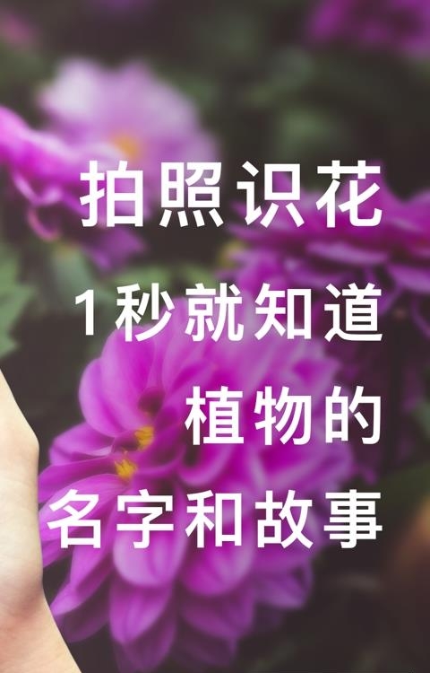 形色