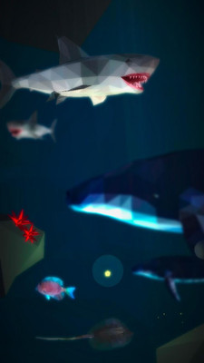 沉没之星